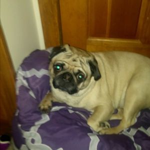 Meet your Posher, Angela